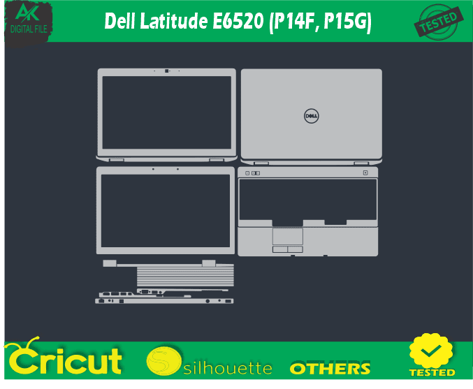 Dell Latitude E6520 (P14F P15G)