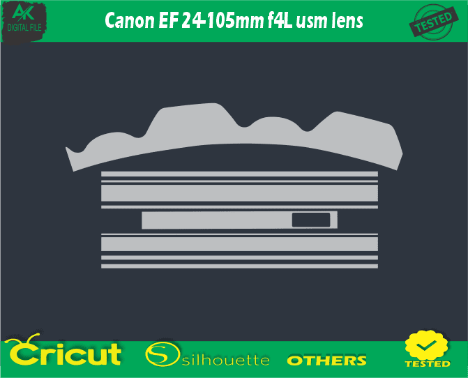 Canon EF 24-105mm f4L usm lens