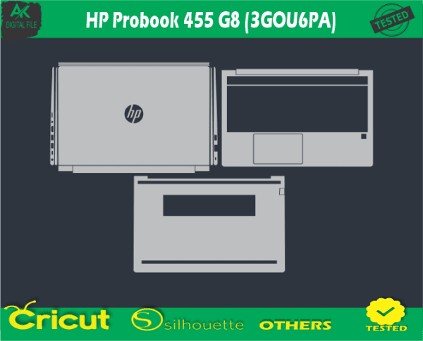 HP ProBook 455 G8 (3GOU6PA)