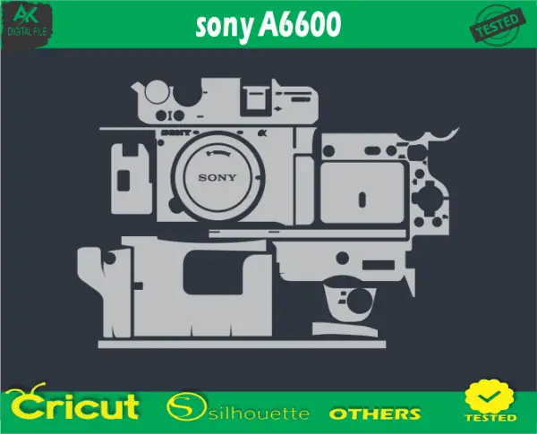 sony A6600