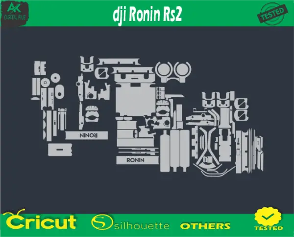 dji Ronin RS2